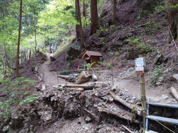 しっかりとした武甲山の登山道