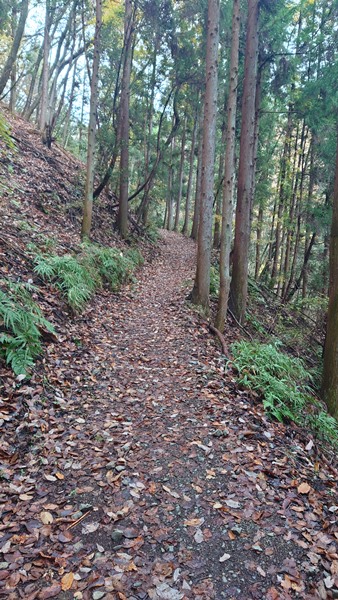 横瀬駅から登山道へ⑤