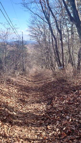 登山道①