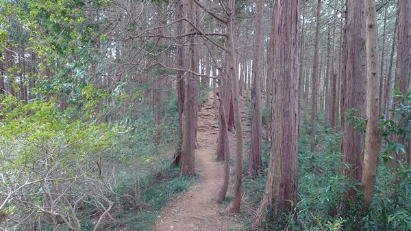 登山道