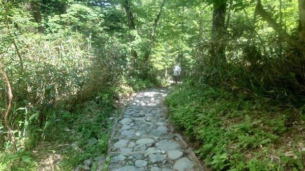 鳩待峠からの階段。