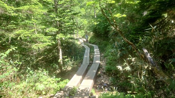 鳩待峠からの木道